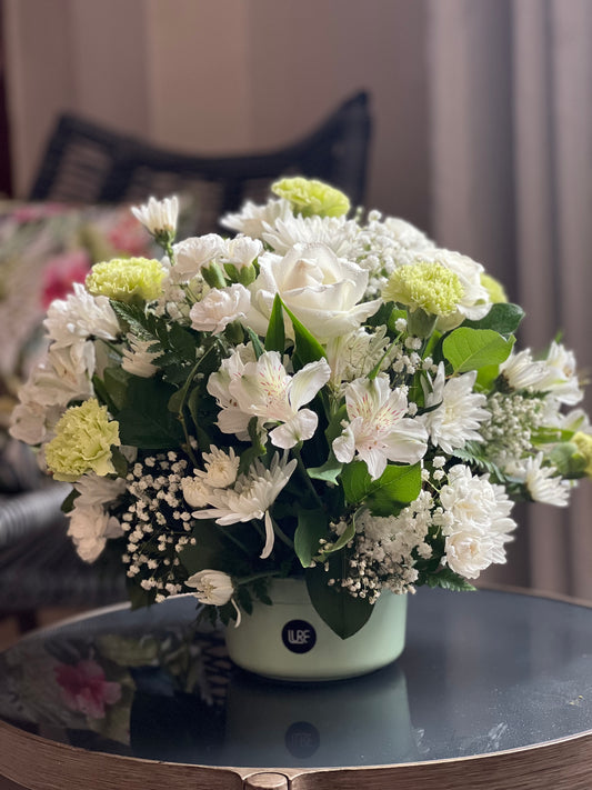 Lure by Shiv: Bloom 41