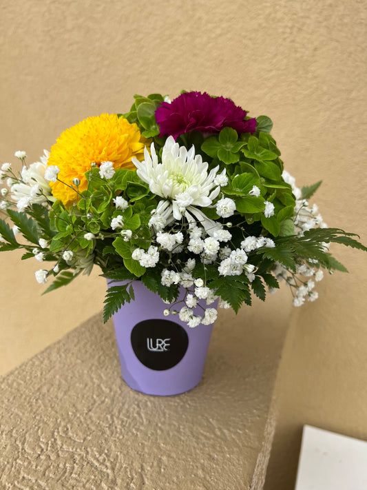 LURE by Shiv: Bloom 6